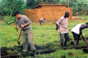 Volunteers help dig the foundation for the new orphanage.